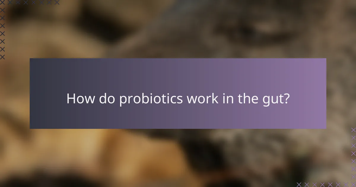 How do probiotics work in the gut?
